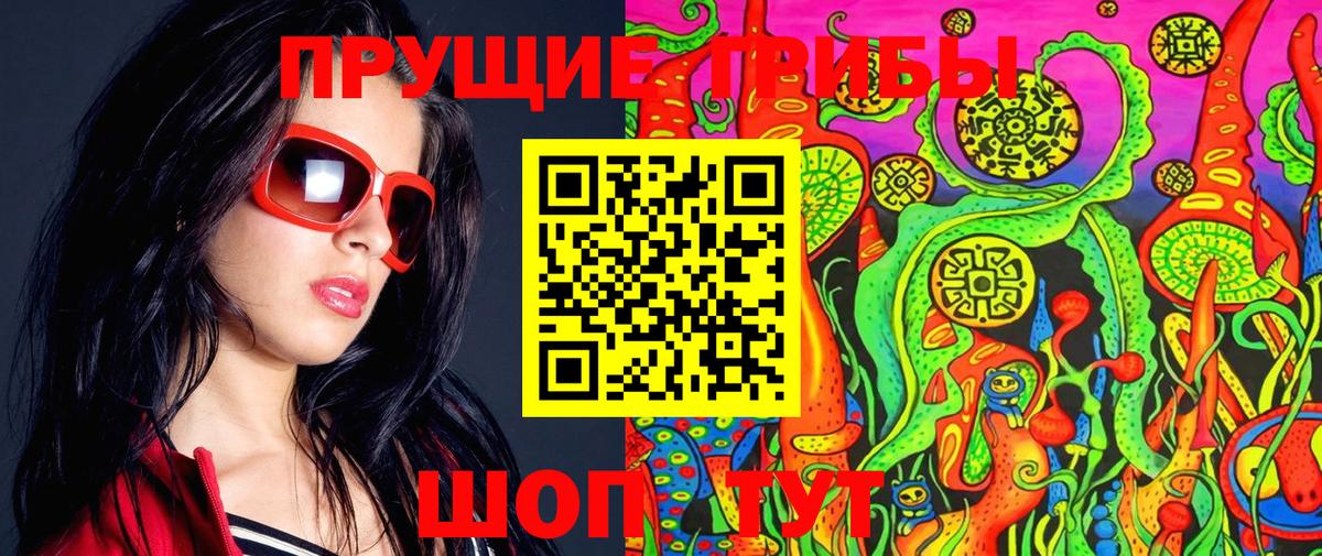 Верхняя Пышма  Галлюциногенные грибы Cubensis  Вход с VPN  Псилоцибиновые грибы Cubensis 