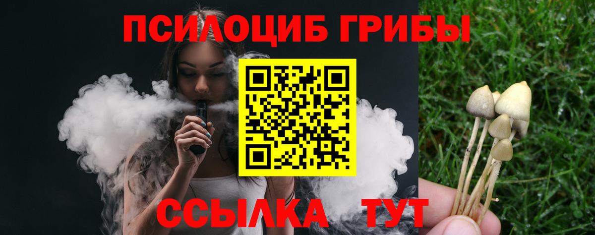 Псилоцибиновые грибы Cubensis Верхняя Пышма